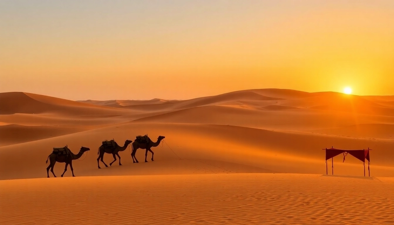 Experience the thrill of a desert tour from Marrakech with camels and sunset views in Erg Chebbi dunes.